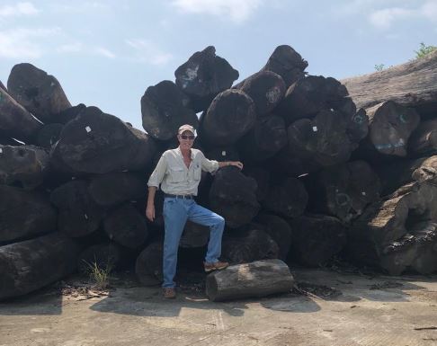 Rich with Teak Logs